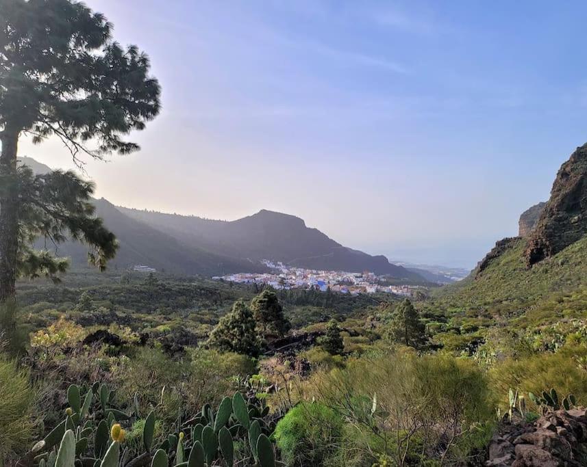 Hikers Haven Courtyard Apartment Tamaimo Tenerife El Molledo 외부 사진