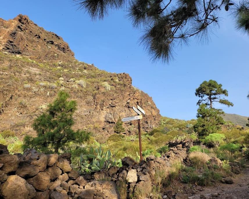 Hikers Haven Courtyard Apartment Tamaimo Tenerife El Molledo 외부 사진
